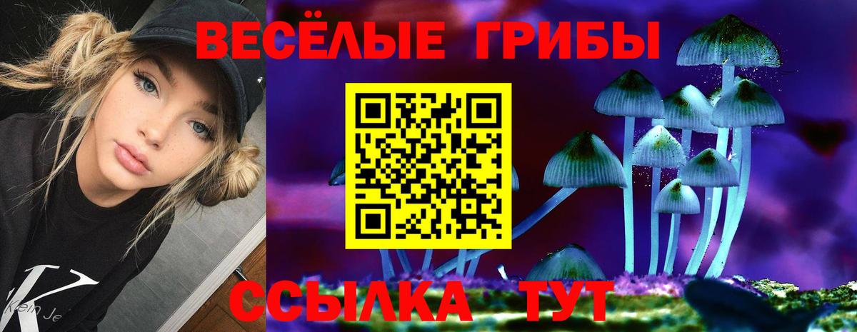 Саров  Галлюциногенные грибы Psilocybe  Галлюциногенные грибы мицелий  Вход с VPN 